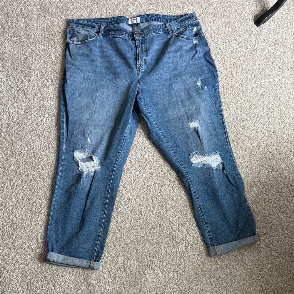 Lane Bryant Light Blue Denim Jeans